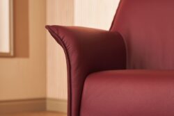 Mobiel Interieur - Leolux Mayuro fauteuil 7