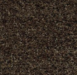 Forbo Coral Brush schoonloopmat 5774 biscotti brown - Mobiel Interieur