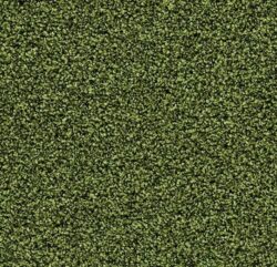 Forbo Coral Classic schoonloopmat 2608 fresh grass - Mobiel Interieur