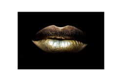 Ter Halle glasschilderijen gouden lippen - Mobiel Interieur
