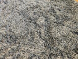 Millenerpoort Bella Basso 60 vloerkleed sale - Mobiel Interieur