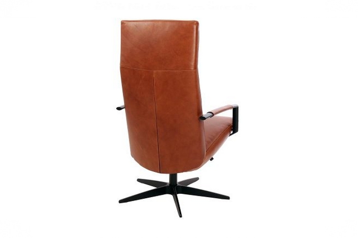 44982_97709_Gealux_Earth_fauteuil_03