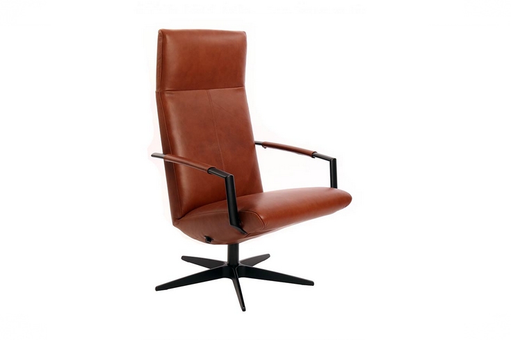 44982_97711_Gealux_Earth_fauteuil_01